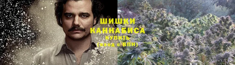 Шишки марихуана THC 21%  даркнет сайт  Красноуральск 